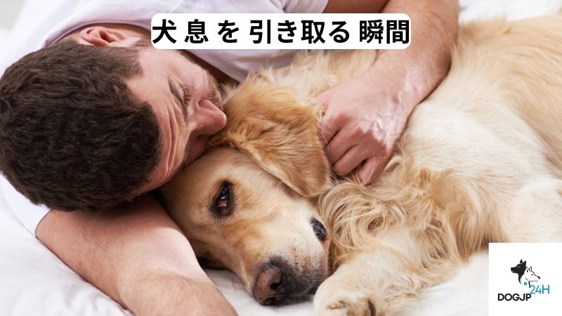 犬 息 を 引き取る 瞬間