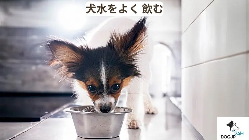 犬 水 を よく 飲む