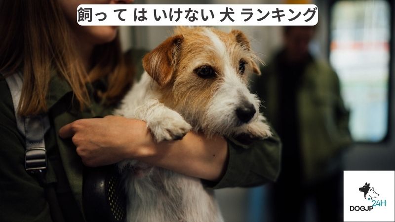 飼っ て は いけない 犬 ランキング